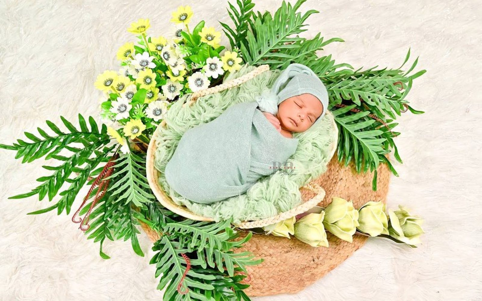 Each giggle, each tiny yawn, a precious memory captured forever. 🫶🏼📸Team @babybookstudios Boo (7)